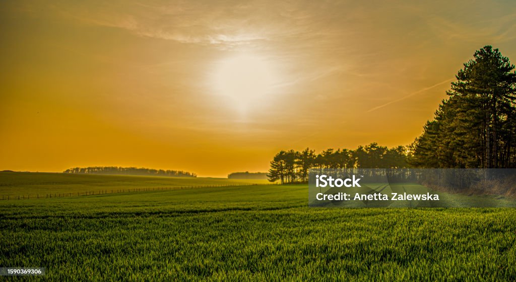 Orange sky during sunset over forest. 2019.sprintime Amesbury - England Stock Photo