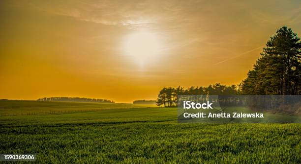 Orange Sky During Sunset Over Forest Stock Photo - Download Image Now - Amesbury - England, Backgrounds, Blue