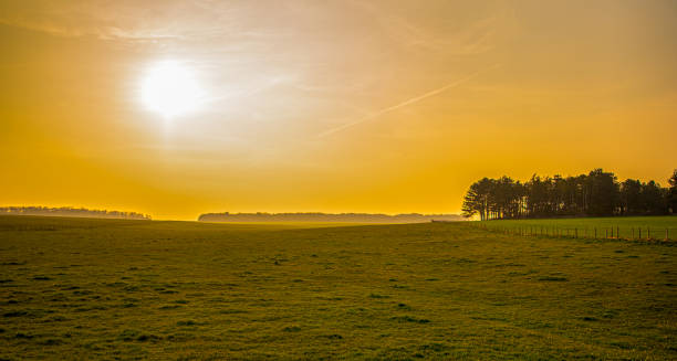 istock Beautiful orange sky over pasture in Wiltshire. 1590370132