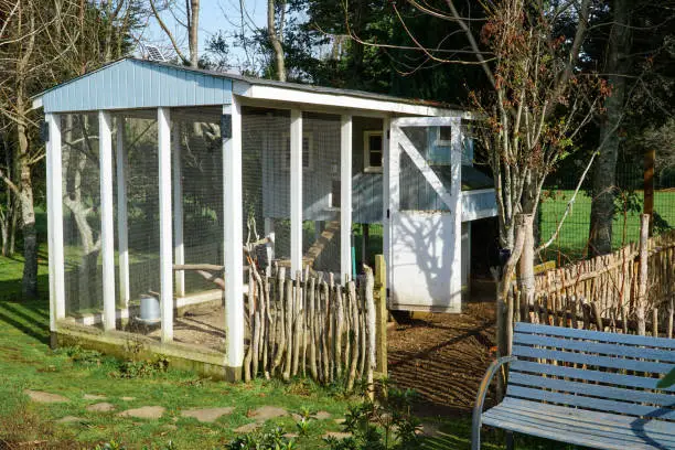 Photo of Idyllic Poultry Retreat: A picturesque sky-blue wooden chicken coop nestled in a backyard, a cozy haven for feathered friends.