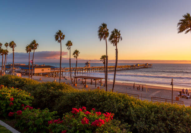 Sunset on Pier Sunset on San Clemente Pier with palm trees and beach san clemente california stock pictures, royalty-free photos & images