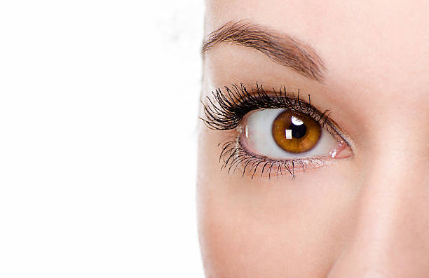 istock Beautiful woman eye with make-up 159041181