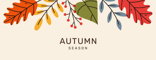 ilustrações de stock, clip art, desenhos animados e ícones de autumn seasonal minimal banner with border bright leaves with place for text. trendy modern background. template for advertising, web, social media. - autumn leaf falling panoramic