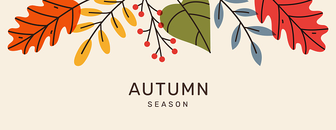 Autumn seasonal minimal banner with border bright leaves with place for text. Trendy modern background. Template for advertising, web, social media.