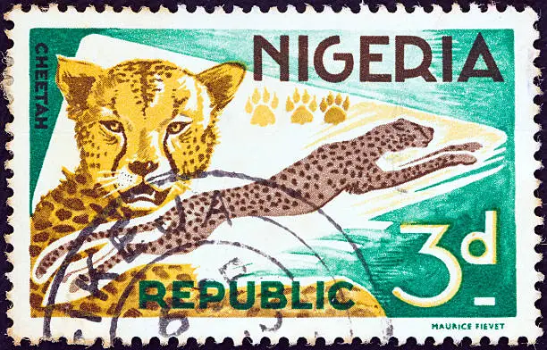 NIGERIA - CIRCA 1965: A stamp printed in Nigeria shows a Cheetah (Acinonyx jubatus).