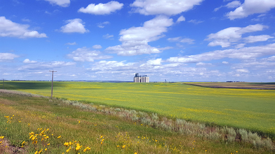 Central Alberta Prairie Landscape. Near Three Hills and Trochu in the County of Knee-hill. Summertime July.