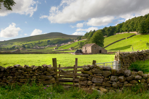 View over a stone wall towards the Swaledale village of Gunnerside. The Yorkshire Dales, England.