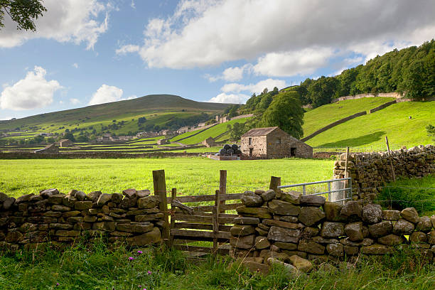 Swaledale, Yorkshire Dales, England View over a stone wall towards the Swaledale village of Gunnerside. The Yorkshire Dales, England. yorkshire england photos stock pictures, royalty-free photos & images