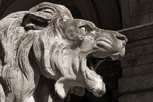 istock head of lion statue, budapest 159044010