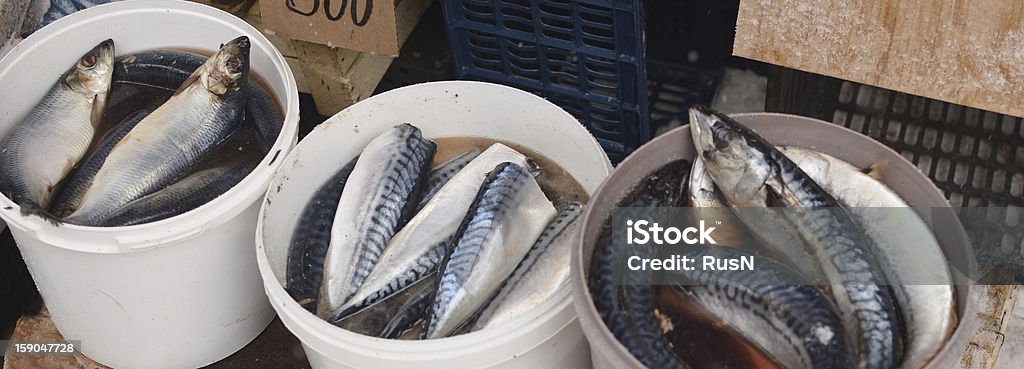 Pesce nel mercato - Foto stock royalty-free di Alimentazione sana