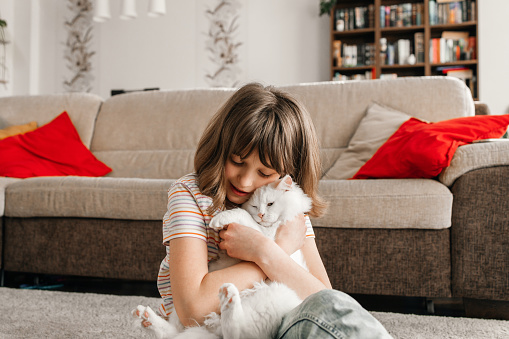 A teenage girl sits on the floor in the living room and plays with her beloved kitten. The child hugs and strokes the pet. Children and cats