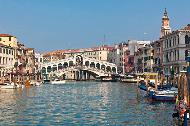 istock Rialto Bridge in Venice 159055619