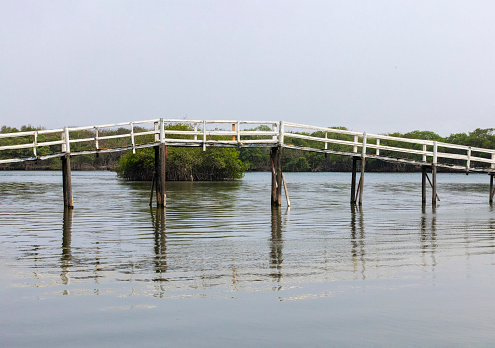 Mangrove lagoon bridge at Mandinga, Veracruz