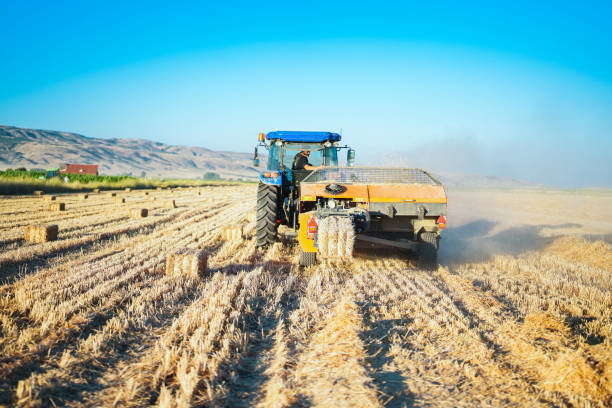 man making bales with tractor and machine in big field at sunset