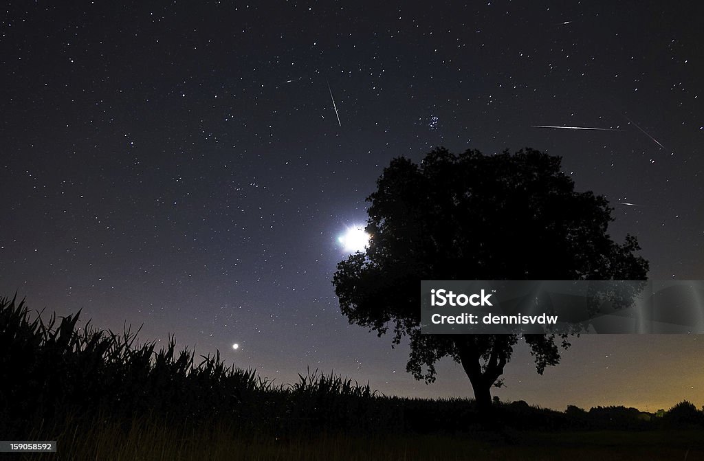 Perseids meteor shower Beautiful image during the night of the Perseid meteor shower in the summer of 2012 in the Netherlands, showing a number of meteorites Netherlands Stock Photo