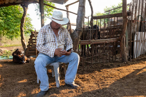 istock Ranch man with mobile phone in hand 1590586437