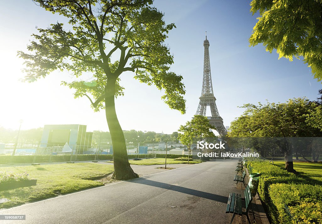 Enjoying the view of the Eiffel Tower, on a sunny morning  sunny morning and Eiffel Tower, Paris, France Paris - France Stock Photo