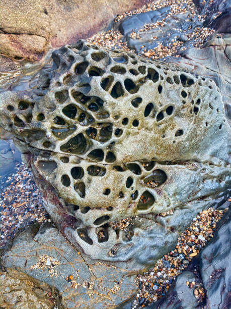 Tafoni rocks, Bean Hollow State Beach, California Tafoni rocks, Bean Hollow State Beach, California - image bean hollow beach stock pictures, royalty-free photos & images