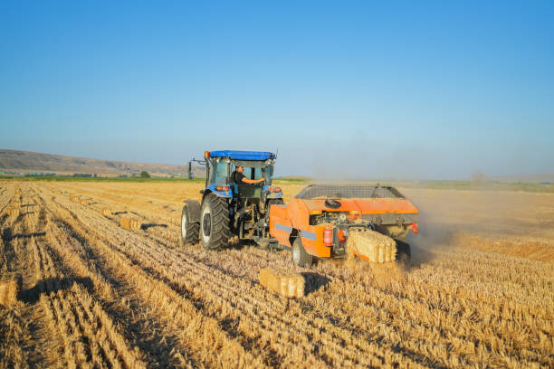 man making bales with tractor and machine in big field at sunset