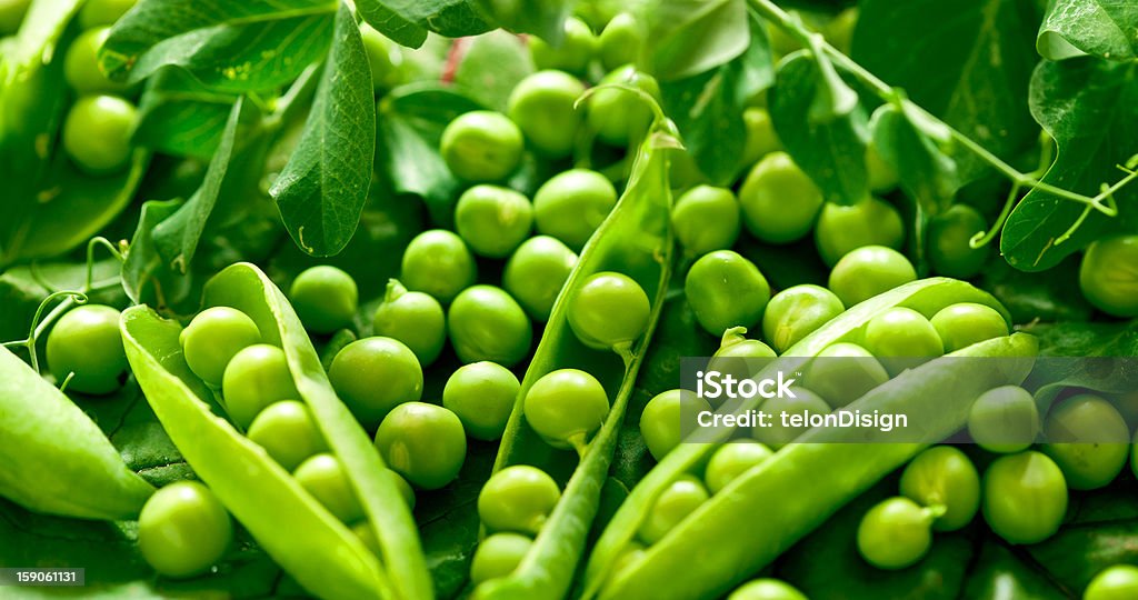 Green peas in the pod Green peas in the pod, food ingredients Agriculture Stock Photo