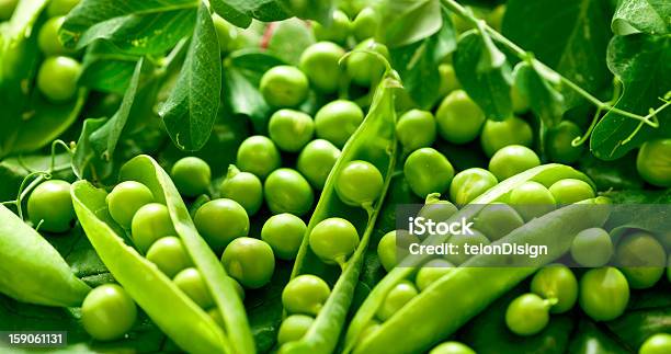 Green Peas In The Pod Stock Photo - Download Image Now - Agriculture, Crop - Plant, Food