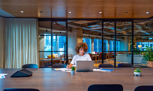 Young woman working on a laptop computer in a modern office. She is focussed and holding a pen. There is paperwork and a phone on her desk