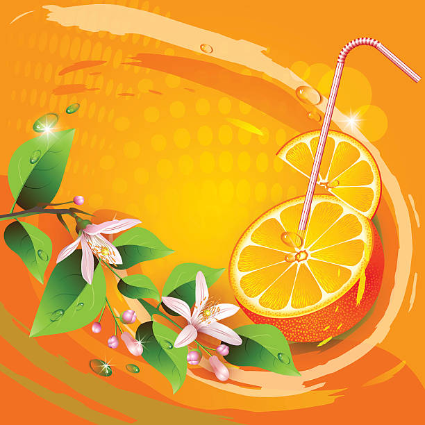 ilustrações de stock, clip art, desenhos animados e ícones de fundo com fatias de laranja e amarelo - orange portion vector textured