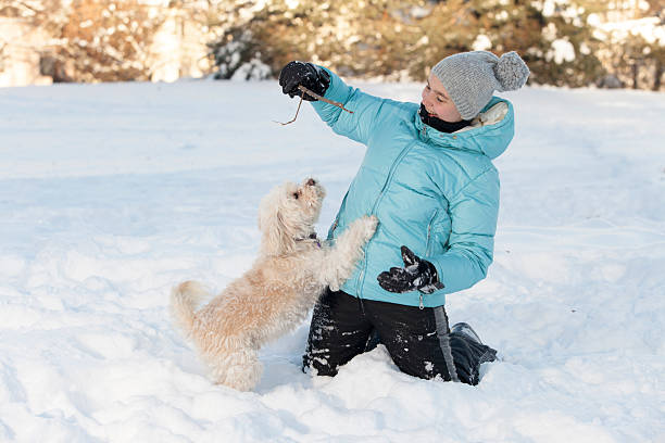 istock Smiling girl playing with dog 159062988