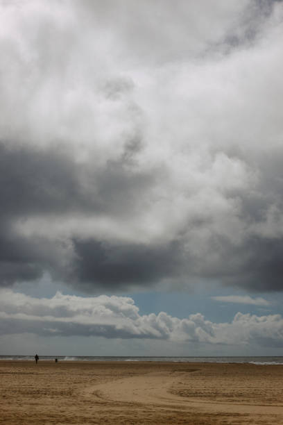 istock Venice beach, Los Angeles 1590659198