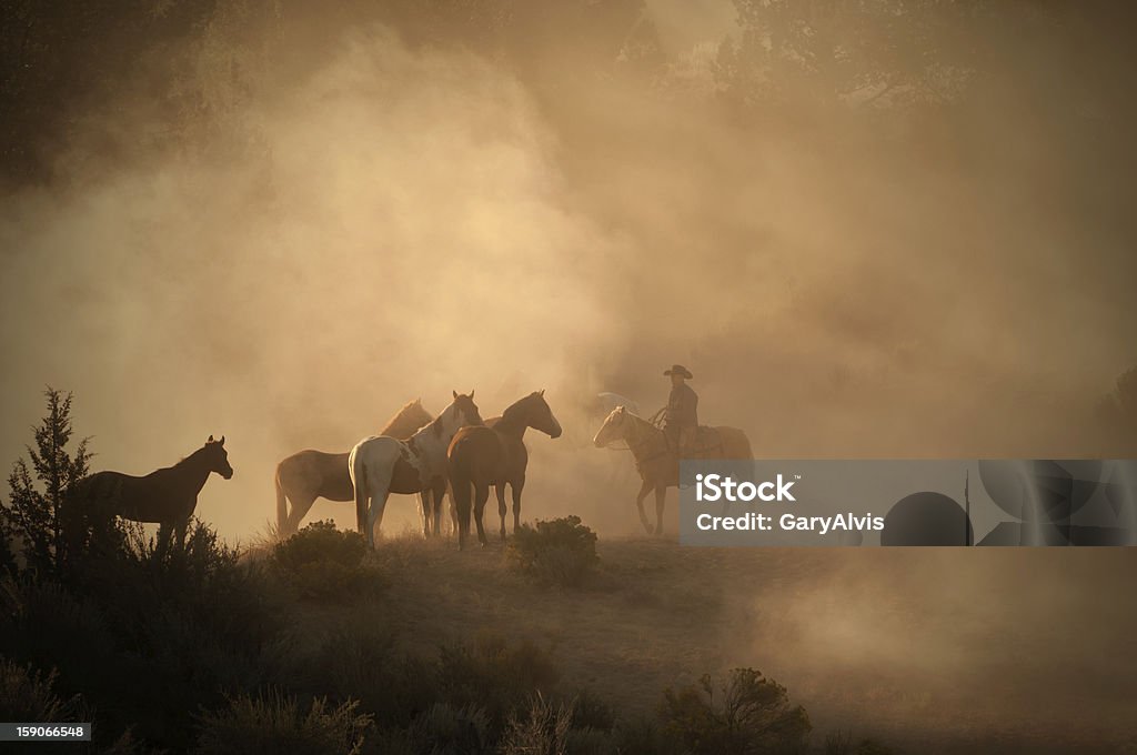 Cowboy Hüten Pferde am frühen Morgen im high desert-Gegenlicht Staub - Lizenzfrei Pferd Stock-Foto