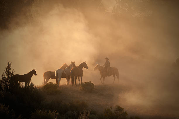 istock Cowboy herding horses early morning on high desert-back lit dust 159066548