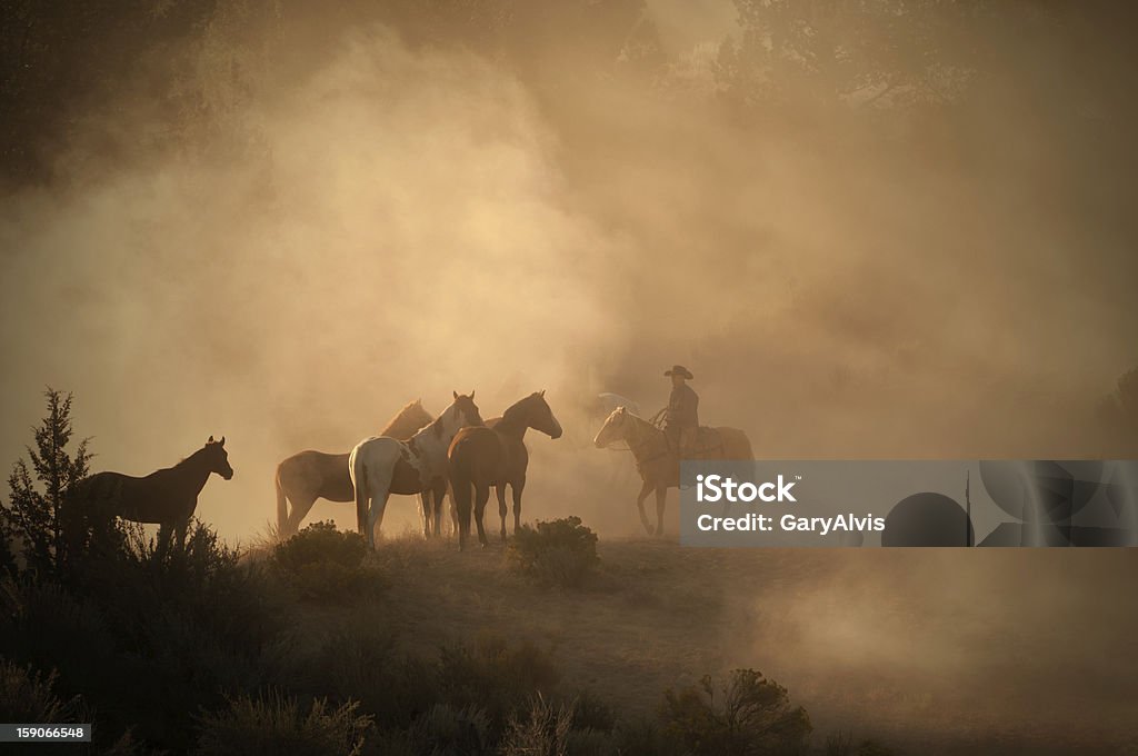 Cowboy herding horses early morning on high desert-back lit dust This image shows an early morning cowboy on the high desert watching over his herd of horses.http://www.garyalvis.com/images/wildWest.jpg Horse Stock Photo