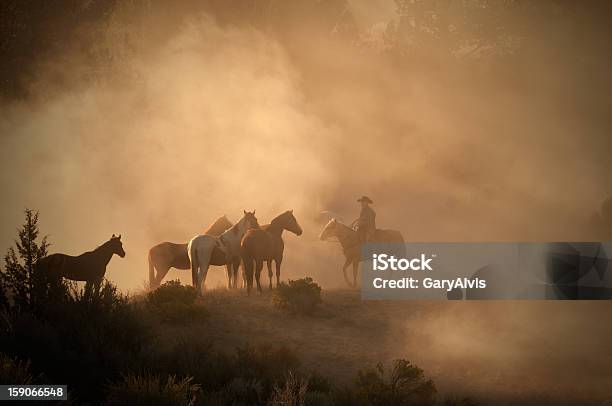 Ковбой Пасти Лошадей Рано Утром На Горной Пустыне Пылиосвещённый Сзади — стоковые фотографии и другие картинки Лошадь