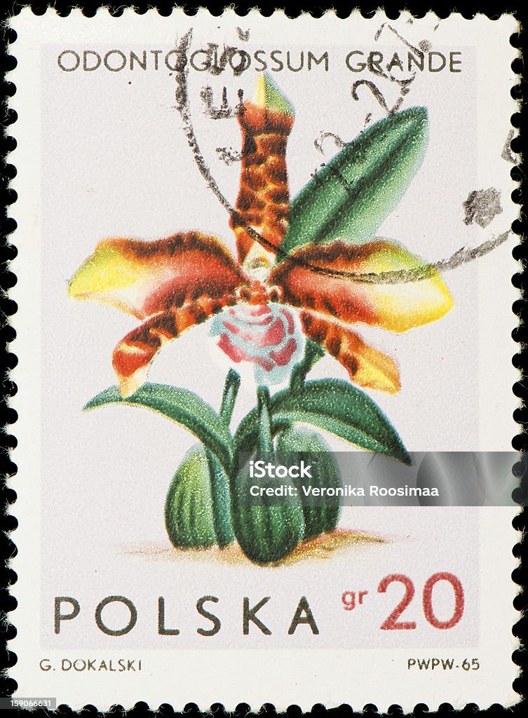 Польский Почтовая марка - Стоковые фото Без людей роялти-фри