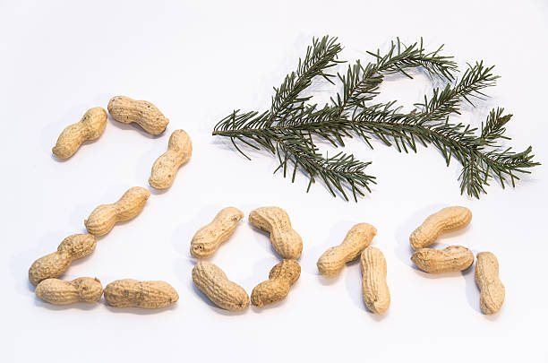 Date 2014 and a fresh fir branch. Focus on nuts. Nikon D7000, Nikkor 16-85mm. Horizontal image with white background. Picture can be used as a synonym for christmas or new years eve.