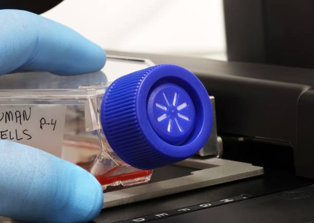 인간 세포가 담긴 루 병을 들고 있는 과학자의 장갑 - test tube microplate cell biotechnology 뉴스 사진 이미지