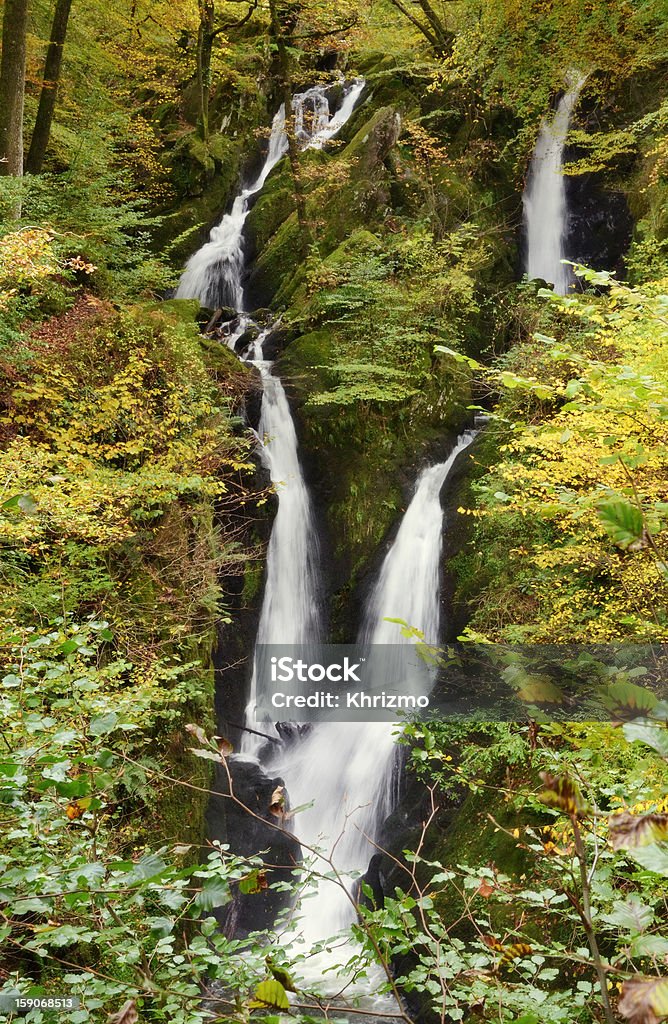 Estoque Ghyll força, Ambleside, Cumbria. - Foto de stock de Ambleside royalty-free