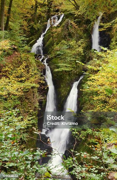 Foto de Estoque Ghyll Força Ambleside Cumbria e mais fotos de stock de Ambleside - Ambleside, Avelãzeira, Beleza natural - Natureza