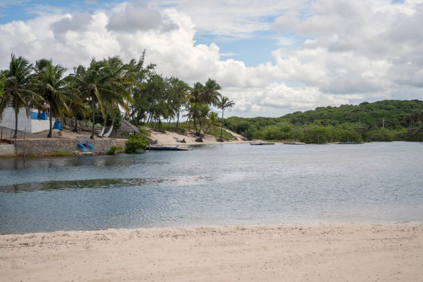 istock Beautiful Brazilian beach in northeast 1590697674