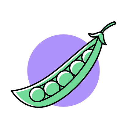 Vector illustration of a pea pod on a purple circle against a white background in line art style.