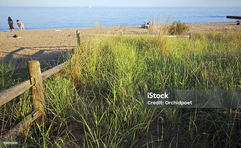 Beach Sand beach on Toronto Island with people relaxing in the background. The ecosystem of dunes and Marram grass are fragile therefore protected by wooden fence. Focal point on the foreground grass. Beach Stock Photo
