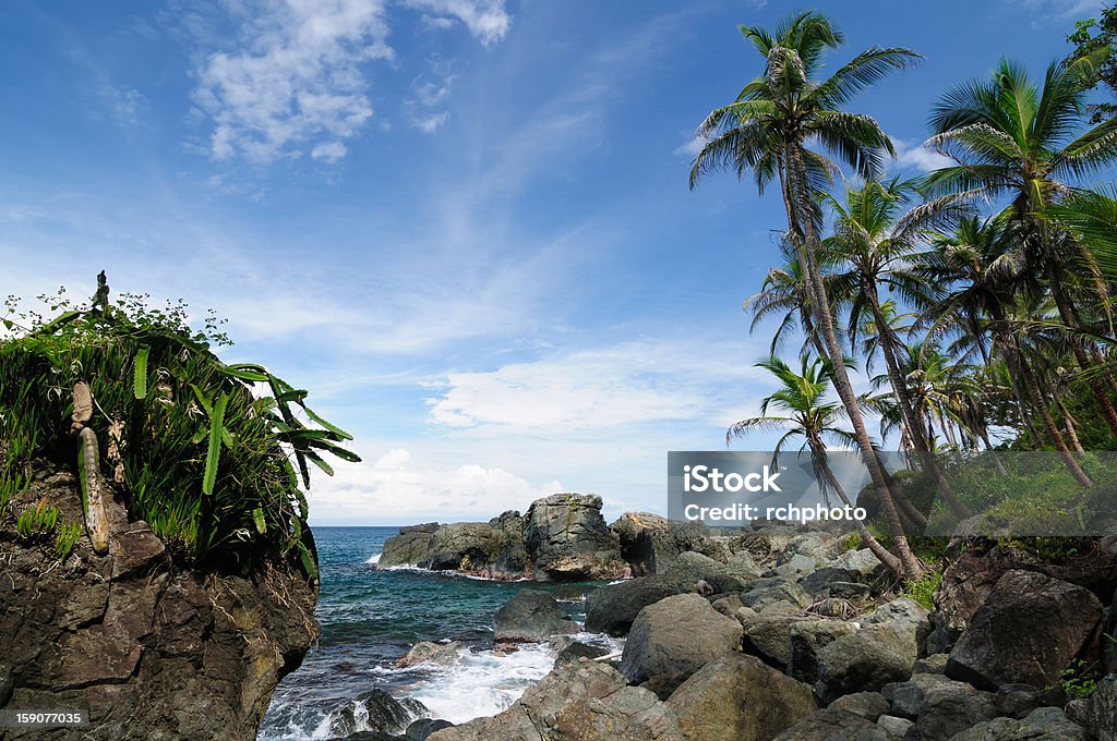 Wild Colombian Caribbean coast near Capurgana Colombia, wild coast of the Caribbean sea near Capurgana resort where the Darien jungle is encountering the beach Adventure Stock Photo