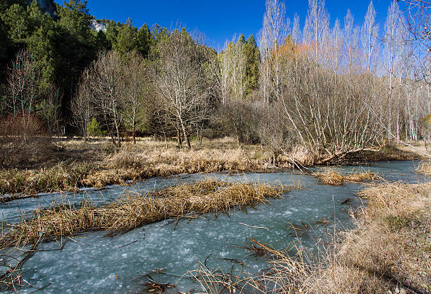 istock Frozen river (National Park 
