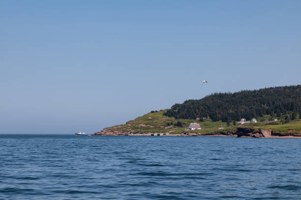 istock View of Bonaventure Island 1590814954