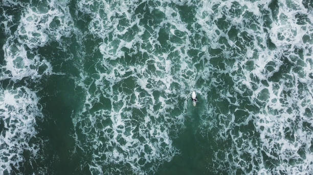 istock Young surfer girl seeking for waves 1590834713