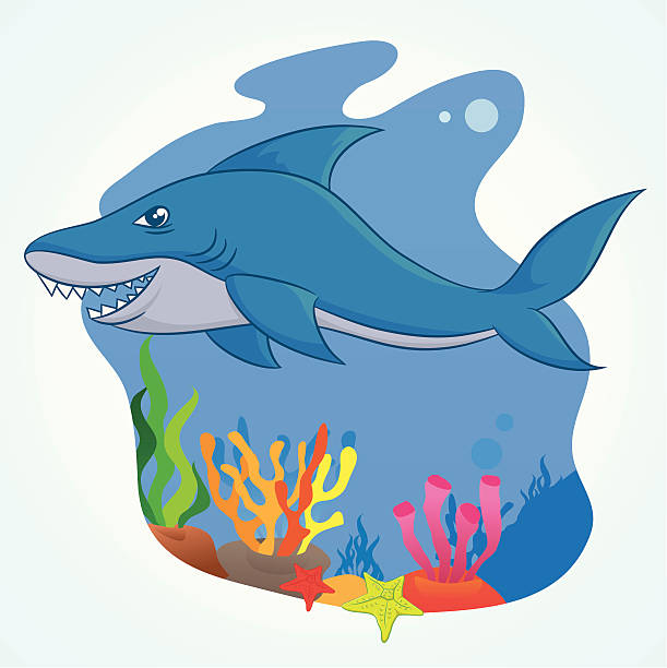 Shark Cartoon vector art illustration