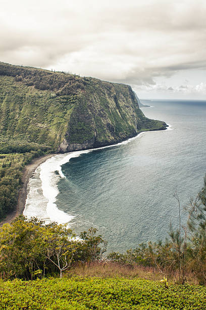 istock Waipio valley in Hawaii 159085497