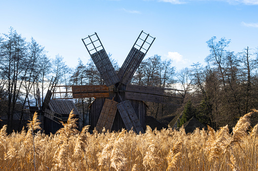 Old windmills behind a wheat field at Astra Museum,  the most important ethno-museum institution in Romania.