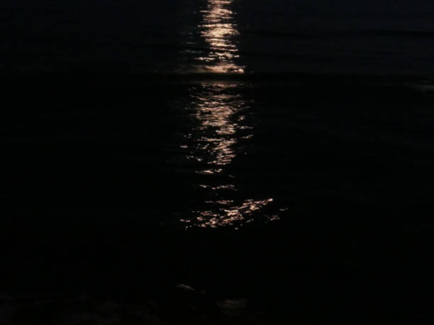 Larnaca Bay at night