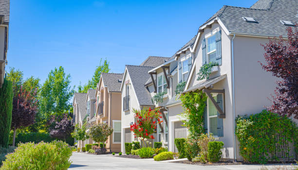 istock Row of homes in California 1590866262